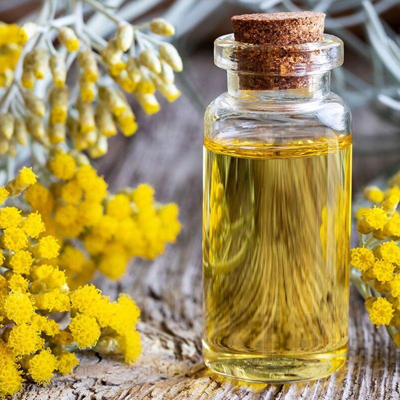 Helichrysum (Immortelle) Essential Oil surrounded by beautiful Helichrysum flower blossoms