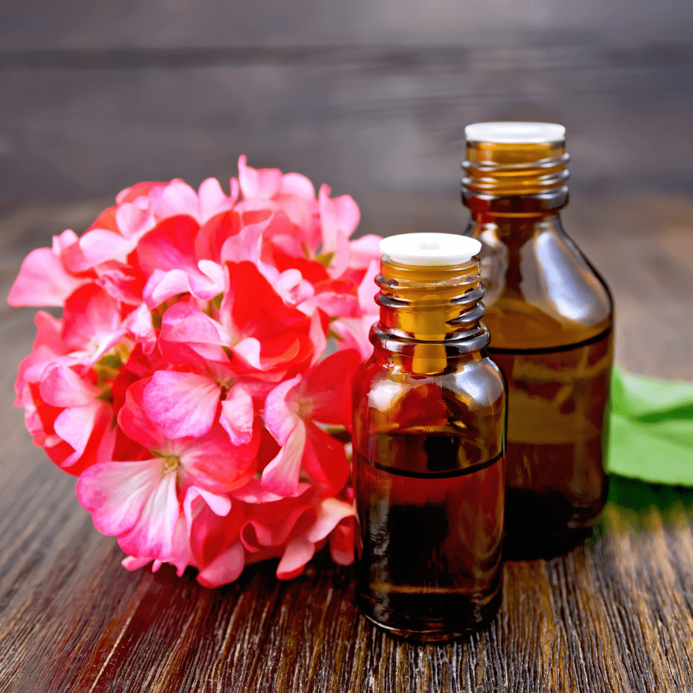 Skincare Spotlight: Skincare Benefits of Geranium Essential Oil