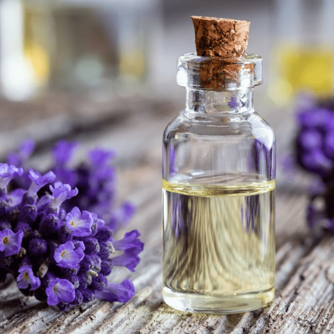 Skincare Benefits Lavender Essential Oil